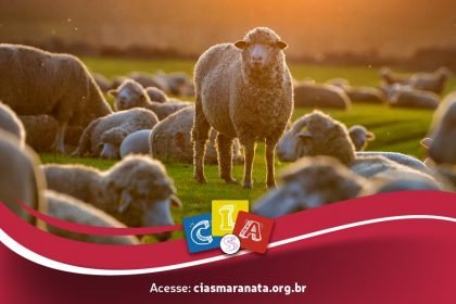 Dezembro 2019